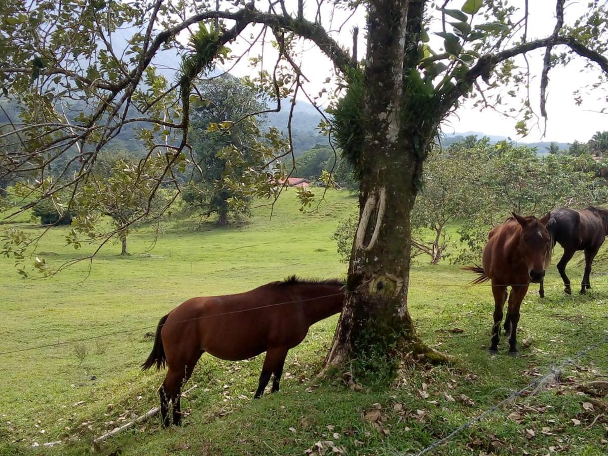 Casona Rustica & Bungalow La Fortuna Buitenkant foto